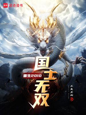 重生2010国士无双精校版