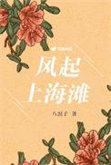 风起上海滩张少帅