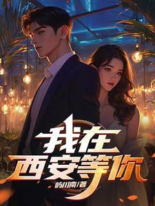 我在西安等你凌飞结局和谁在一起